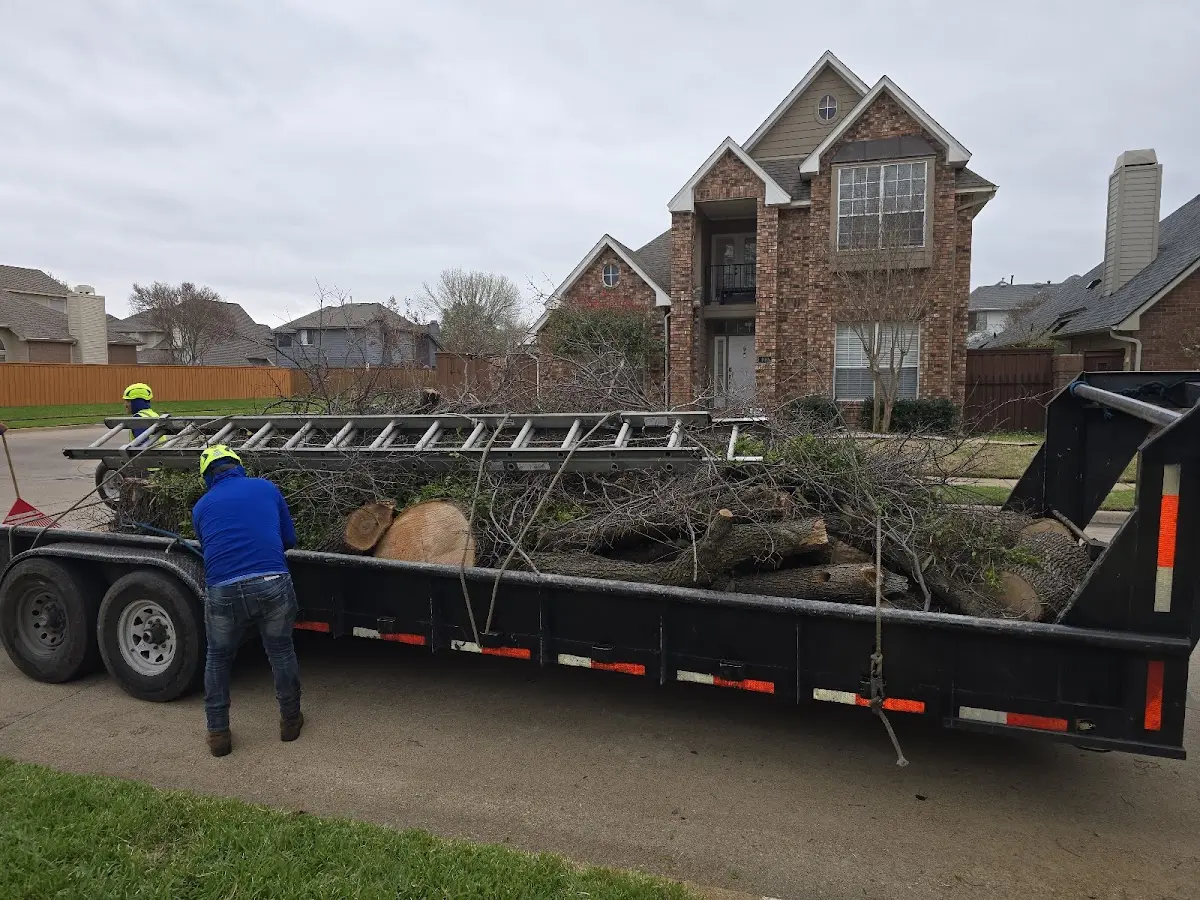 Expert Lot Clearing with proper safety equipment in Bradley